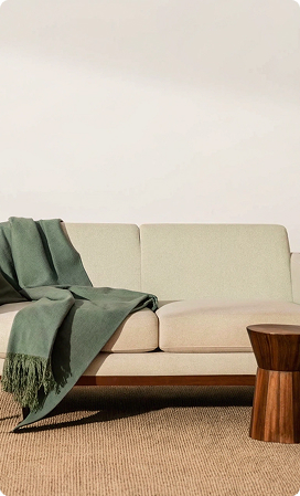 Shampouinage de canapé et tapis